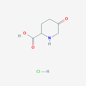 5-Oxopiperidine-2-carboxylic acid hydrochloride