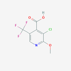 molecular formula C8H5ClF3NO3 B1392642 3-Chloro-2-methoxy-5-(trifluoromethyl)isonicotinic acid CAS No. 1221792-35-3