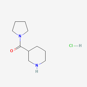 molecular formula C10H19ClN2O B1392787 3-Piperidinyl(1-pyrrolidinyl)methanone hydrochloride CAS No. 937724-81-7