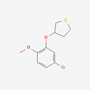 molecular formula C11H13BrO2S B13928020 3-(5-Bromo-2-methoxyphenoxy)tetrahydrothiophene 