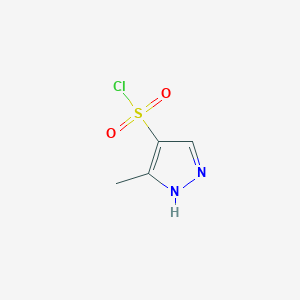 molecular formula C4H5ClN2O2S B1392833 5-methyl-1H-pyrazole-4-sulfonyl chloride CAS No. 1179918-36-5