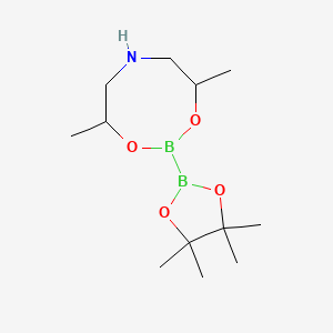 molecular formula C12H25B2NO4 B1392870 4,8-Dimethyl-2-(tetramethyl-1,3,2-dioxaborolan-2-yl)-1,3,6,2-dioxazaborocane CAS No. 1536530-95-6