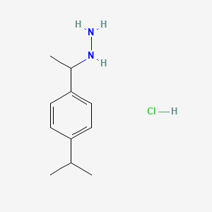molecular formula C11H19ClN2 B1392876 {1-[4-(Propan-2-yl)phenyl]ethyl}hydrazine hydrochloride CAS No. 1258650-52-0