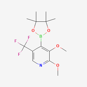 molecular formula C14H19BF3NO4 B1392897 2,3-Dimethoxy-4-(4,4,5,5-tetramethyl-1,3,2-dioxaborolan-2-yl)-5-(trifluoromethyl)pyridine CAS No. 1357387-31-5