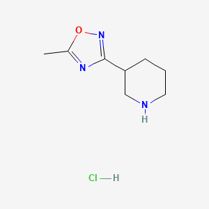 molecular formula C8H14ClN3O B1392911 3-(5-Methyl-1,2,4-oxadiazol-3-yl)piperidine hydrochloride CAS No. 895572-60-8