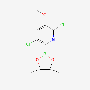 molecular formula C12H16BCl2NO3 B1392930 2,5-Dichloro-3-methoxy-6-(4,4,5,5-tetramethyl-1,3,2-dioxaborolan-2-yl)pyridine CAS No. 1357387-52-0
