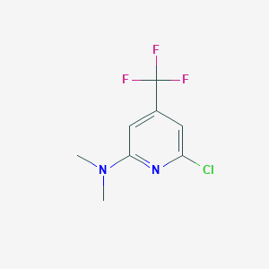molecular formula C8H8ClF3N2 B1392997 6-chloro-N,N-dimethyl-4-(trifluoromethyl)pyridin-2-amine CAS No. 1160994-88-6