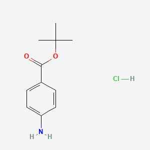 molecular formula C11H16ClNO2 B13931532 tert-Butyl 4-aminobenzoate hydrochloride 