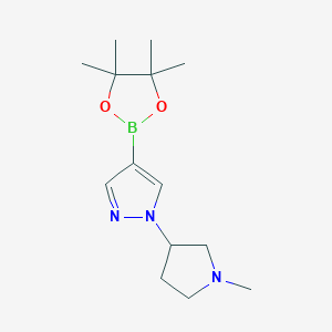 molecular formula C14H24BN3O2 B13931766 1-(1-Methylpyrrolidin-3-YL)-4-(4,4,5,5-tetramethyl-1,3,2-dioxaborolan-2-YL)-1H-pyrazole 