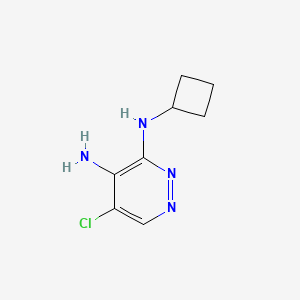 molecular formula C8H11ClN4 B13931913 5-Chloro-N3-cyclobutylpyridazine-3,4-diamine 
