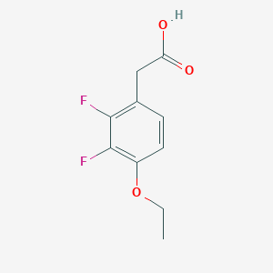 molecular formula C10H10F2O3 B1393361 2-(4-Ethoxy-2,3-difluorophenyl)acetic acid CAS No. 1017779-62-2