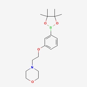 molecular formula C18H28BNO4 B1393388 4-(2-(3-(4,4,5,5-Tetramethyl-1,3,2-dioxaborolan-2-yl)phenoxy)ethyl)morpholine CAS No. 756520-70-4