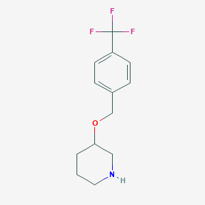 molecular formula C13H16F3NO B1393558 3-[[4-(Trifluoromethyl)phenyl]methoxy]-piperidine CAS No. 1047081-66-2