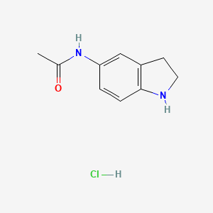 molecular formula C10H13ClN2O B13936246 N-(Indolin-5-yl)acetamide hydrochloride 