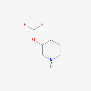 molecular formula C6H11F2NO B1393817 3-(Difluoromethoxy)piperidine CAS No. 1240528-91-9