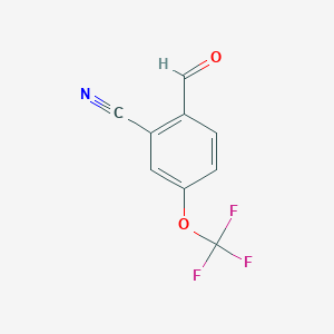 molecular formula C9H4F3NO2 B13939171 2-Formyl-5-(trifluoromethoxy)benzonitrile 