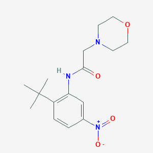 molecular formula C16H23N3O4 B13939505 n-(2-Tert-butyl-5-nitro-phenyl)-2-morpholin-4-yl-acetamide 