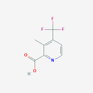 molecular formula C8H6F3NO2 B13939618 3-Methyl-4-(trifluoromethyl)picolinic acid 