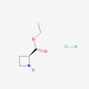 molecular formula C6H12ClNO2 B1394193 (S)-Azetidine-2-carboxylic acid ethyl ester hydrochloride CAS No. 96287-28-4