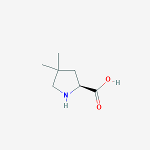 molecular formula C7H13NO2 B1394239 (S)-4,4-二甲基吡咯烷-2-羧酸 CAS No. 891183-50-9