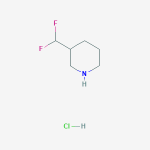 molecular formula C6H12ClF2N B1394494 3-Difluoromethylpiperidine hydrochloride CAS No. 1093759-69-3