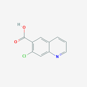 molecular formula C10H6ClNO2 B13945161 7-Chloro-6-quinolinecarboxylic acid 