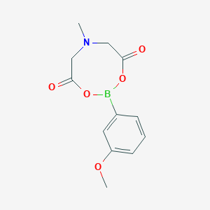 molecular formula C12H14BNO5 B1394546 2-(3-Methoxyphenyl)-6-methyl-1,3,6,2-dioxazaborocane-4,8-dione CAS No. 1104636-71-6