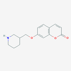 7-(3-Piperidinylmethoxy)-2H-chromen-2-one