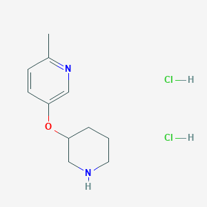 molecular formula C11H18Cl2N2O B1394618 2-Methyl-5-(piperidin-3-yloxy)pyridine dihydrochloride CAS No. 1139878-64-0