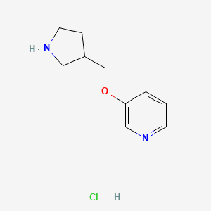 molecular formula C10H15ClN2O B1394645 3-(3-吡咯烷基甲氧基)吡啶盐酸盐 CAS No. 1220016-83-0