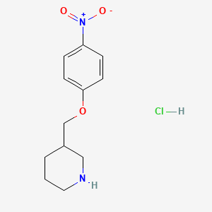 molecular formula C12H17ClN2O3 B1394673 3-[(4-Nitrophenoxy)methyl]piperidine hydrochloride CAS No. 1219982-62-3