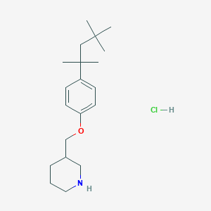 molecular formula C20H34ClNO B1394677 3-{[4-(1,1,3,3-Tetramethylbutyl)phenoxy]-methyl}piperidine hydrochloride CAS No. 1219982-30-5
