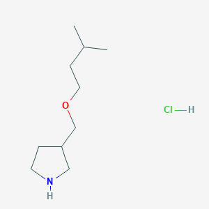 molecular formula C10H22ClNO B1394689 3-[(Isopentyloxy)methyl]pyrrolidine hydrochloride CAS No. 1220030-12-5