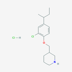 molecular formula C16H25Cl2NO B1394706 3-{[4-(Sec-butyl)-2-chlorophenoxy]-methyl}piperidine hydrochloride CAS No. 1220032-83-6