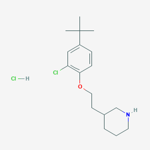 molecular formula C17H27Cl2NO B1394709 3-{2-[4-(Tert-butyl)-2-chlorophenoxy]-ethyl}piperidine hydrochloride CAS No. 1220033-99-7