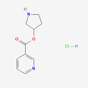 3-Pyrrolidinyl nicotinate hydrochloride