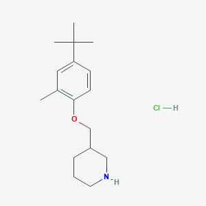 molecular formula C17H28ClNO B1394713 3-{[4-(Tert-butyl)-2-methylphenoxy]-methyl}piperidine hydrochloride CAS No. 1220019-55-5