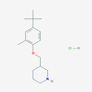 3-{[4-(Tert-butyl)-2-methylphenoxy]-methyl}piperidine hydrochloride