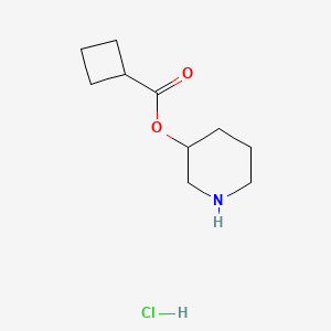 molecular formula C10H18ClNO2 B1394720 3-Piperidinyl cyclobutanecarboxylate hydrochloride CAS No. 1219971-82-0
