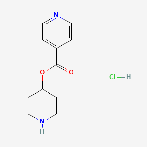molecular formula C11H15ClN2O2 B1394724 4-Piperidinyl isonicotinate hydrochloride CAS No. 1220020-07-4
