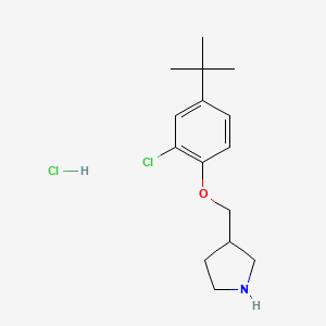 molecular formula C15H23Cl2NO B1394725 3-{[4-(Tert-butyl)-2-chlorophenoxy]-methyl}pyrrolidine hydrochloride CAS No. 1219979-76-6
