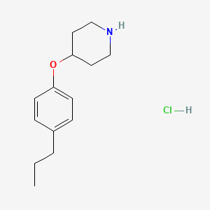molecular formula C14H22ClNO B1394734 4-(4-丙基苯氧基)哌啶盐酸盐 CAS No. 1219976-25-6