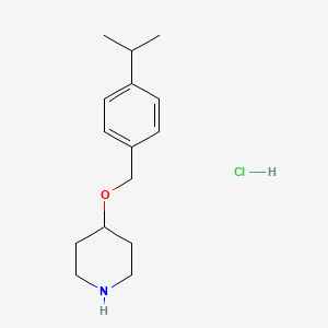 molecular formula C15H24ClNO B1394735 4-[(4-异丙苯基)氧基]哌啶盐酸盐 CAS No. 1220033-12-4
