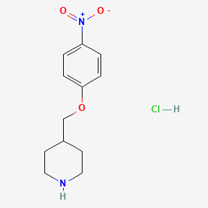 molecular formula C12H17ClN2O3 B1394738 4-[(4-硝基苯氧基)甲基]哌啶盐酸盐 CAS No. 1220029-57-1