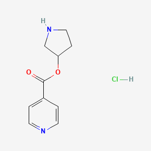 3-Pyrrolidinyl isonicotinate hydrochloride