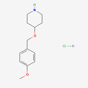 molecular formula C13H20ClNO2 B1394751 4-[(4-Methoxybenzyl)oxy]piperidine hydrochloride CAS No. 1220028-57-8