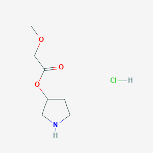 molecular formula C7H14ClNO3 B1394755 3-Pyrrolidinyl 2-methoxyacetate hydrochloride CAS No. 1220037-37-5