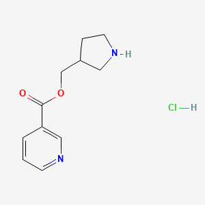 molecular formula C11H15ClN2O2 B1394760 3-吡咯烷基甲基烟酸盐酸盐 CAS No. 1220021-63-5