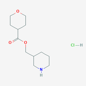 molecular formula C12H22ClNO3 B1394764 3-哌啶基甲基四氢-2H-吡喃-4-羧酸酯盐酸盐 CAS No. 1220020-91-6