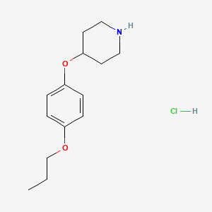 molecular formula C14H22ClNO2 B1394766 4-(4-Propoxyphenoxy)piperidine hydrochloride CAS No. 1219961-35-9
